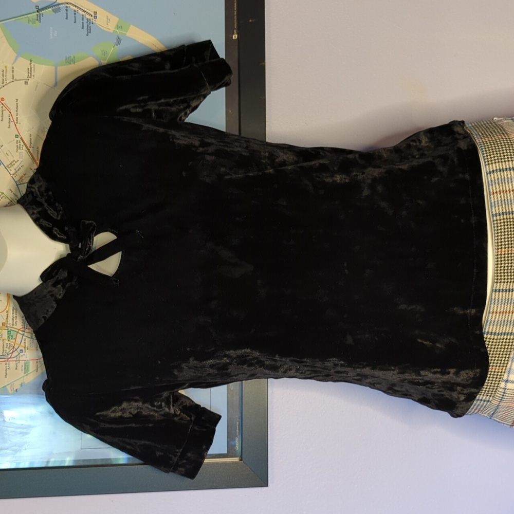 Whimsy Goth Velvet Retro Top